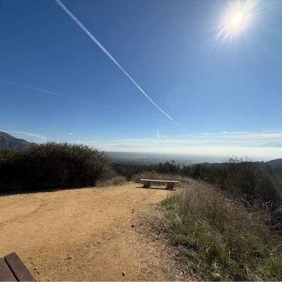 Meet your Posher, Ruthie - Picture 1 of 1